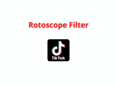 rotoscope filter tiktok