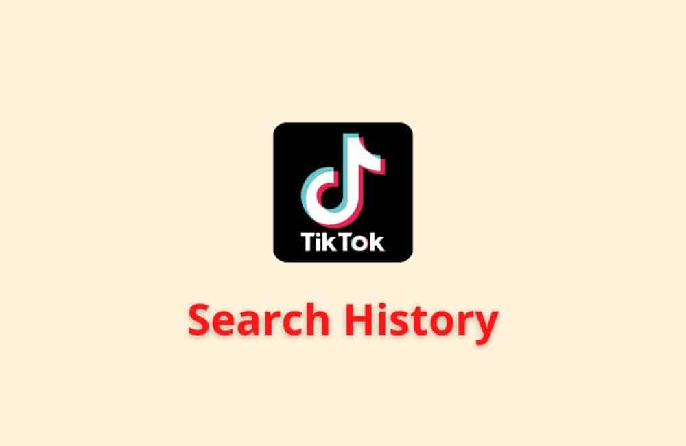 Can You See Your TikTok Search History 1 search history tiktok