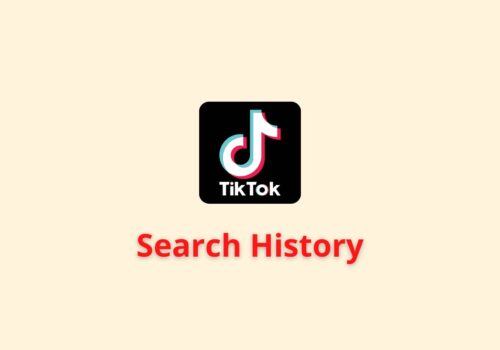 search history tiktok