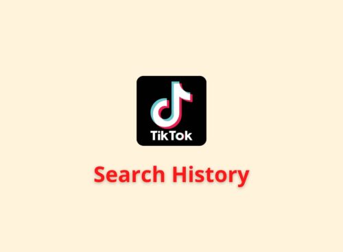 Can You See Your TikTok Search History 12 search history tiktok