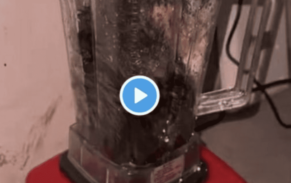 Cat blender video