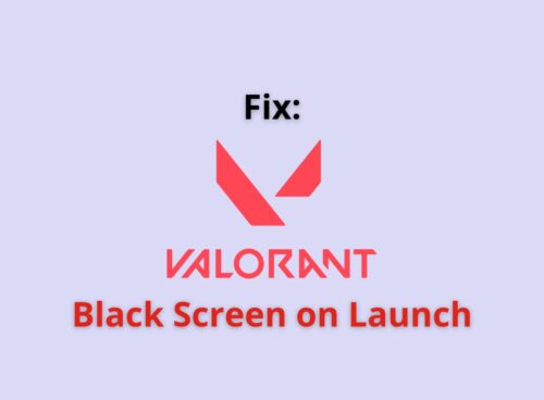 valorant black screen on lauch