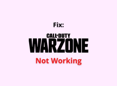 warzone not working