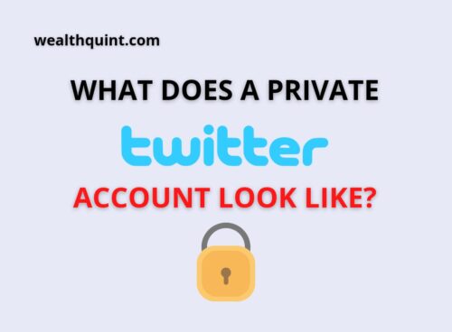 what does a private twitter account looks like
