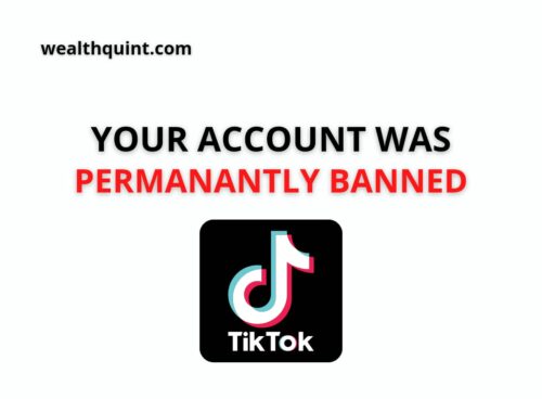 your account was permanatly banned tiktok